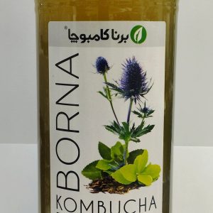 کامبوچا بوقناق برنا یک لیتر